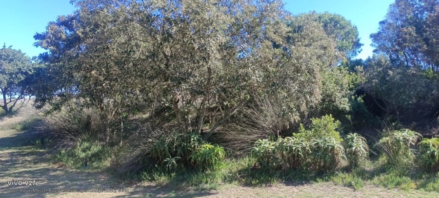 2 Bedroom Property for Sale in Mossel Bay Central Western Cape